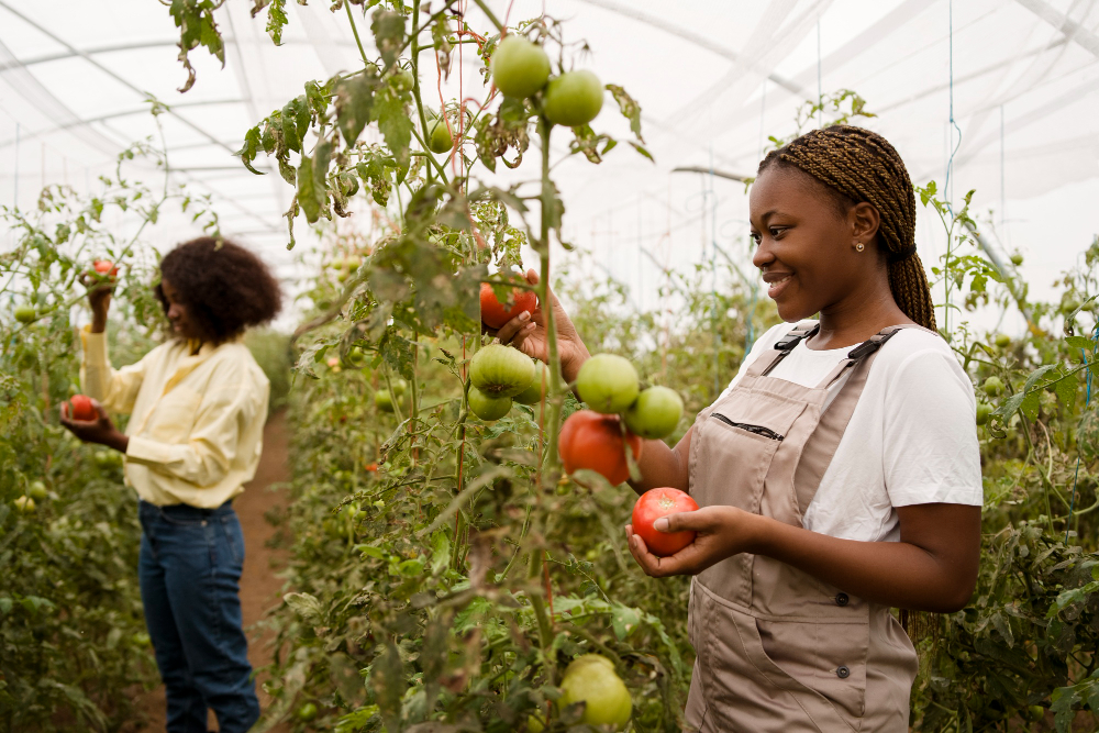 Organic & Sustainable Farming