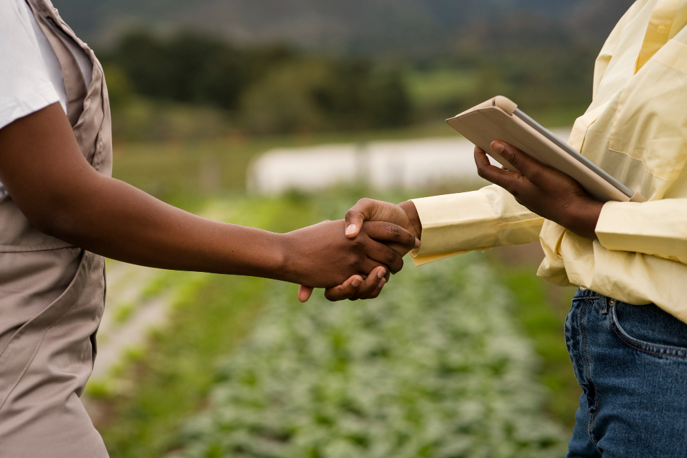 Agri-Business & Value Chain Development