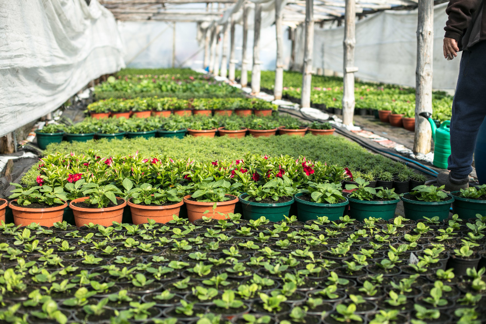 Greenhouse Farming