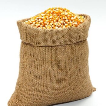 50kg Bag of Maize